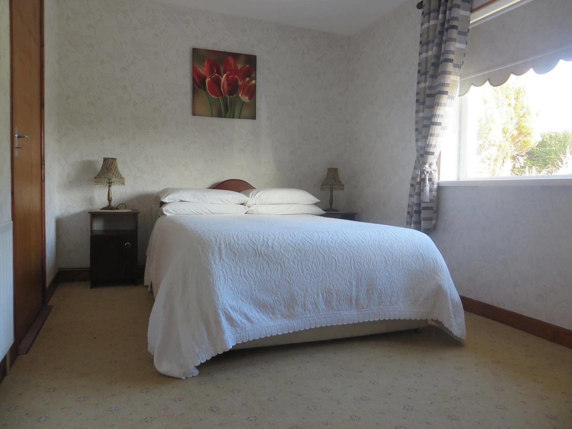 Dawn House B&B Kilmeaden Dış mekan fotoğraf